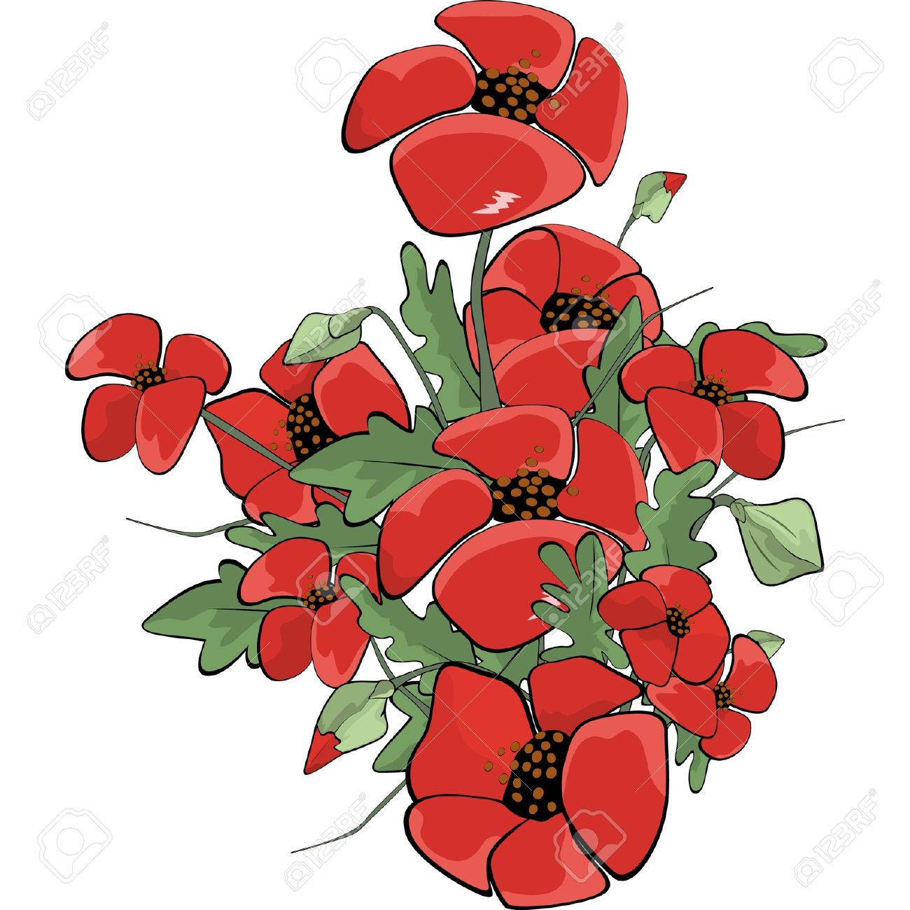 Poppies Cartoon Royalty Free Cliparts Vectors And Stock Illustration Image