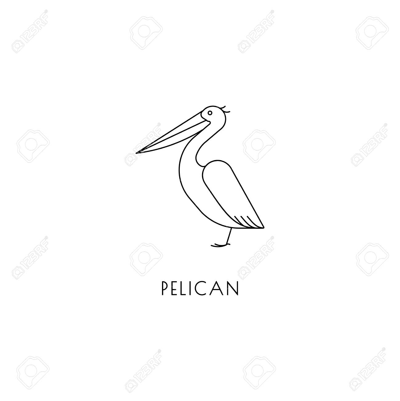 pelican outline icon royalty free cliparts vectors and stock