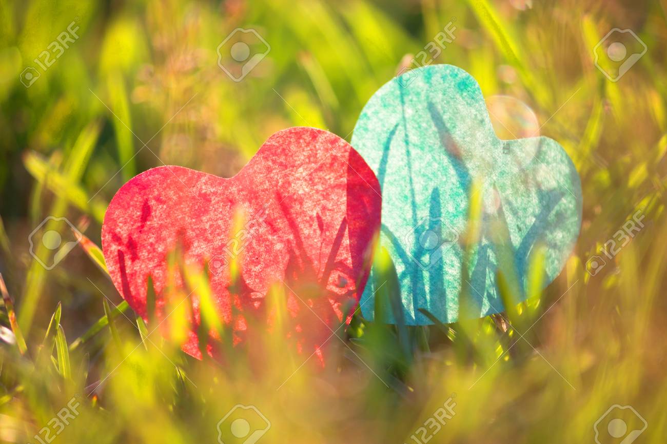 暖かい日差しの中で緑の草の上に横たわる2つの心 の写真素材 画像素材 Image 暖かい日差しの中で緑の草の上に横たわる2つの心 の写真素材 画像素材 Image