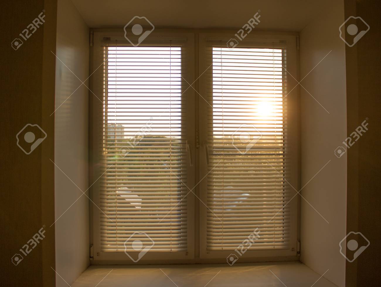 blinds and shades