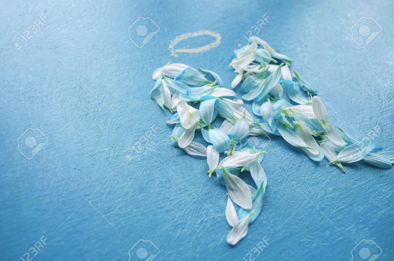 blue flower halo