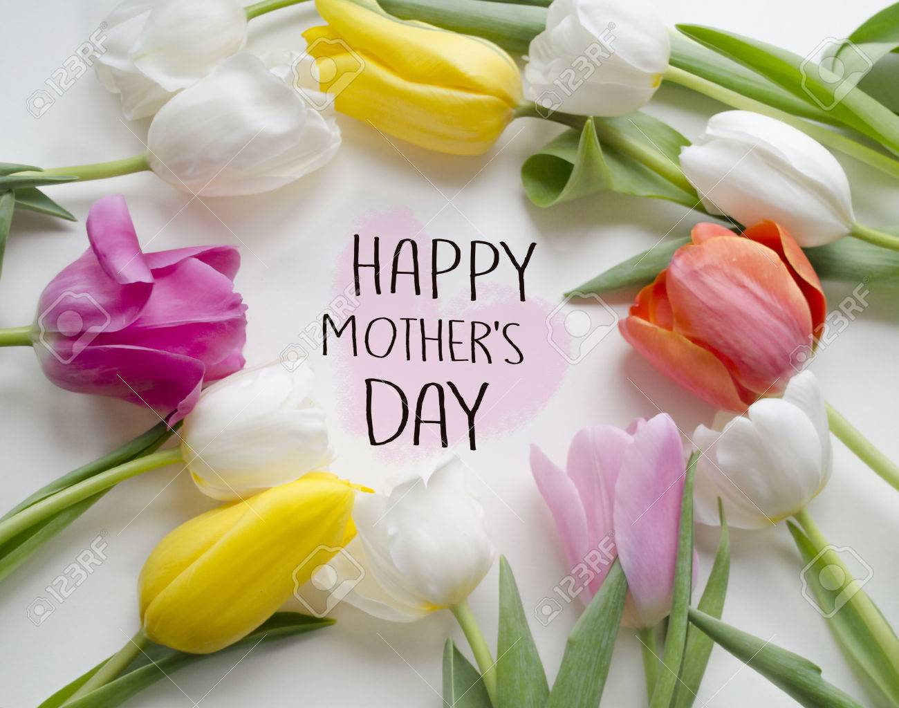 concepto de saludo de día de la madre flor hermosa del tulipán