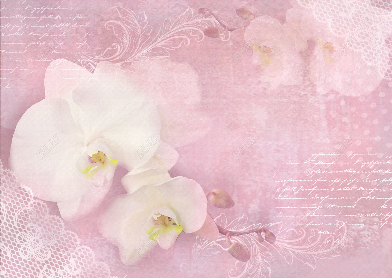 Carte Avec Des Fleurs D Orchidees Sur Un Fond Rose Clair Modele D Invitation Mariage Anniversaire Anniversaire Ou Evenement Similaire Page De Couverture Flyer Affiche Banniere Conception De Carte De Visite Avec Des Orchidees Carte Avec Des Fleurs D Orchidees Sur Un Fond Rose Clair Modele D Invitation Mariage Anniversaire Anniversaire Ou Evenement Similaire Page De Couverture Flyer Affiche Banniere Conception De Carte De Visite Avec Des Orchidees