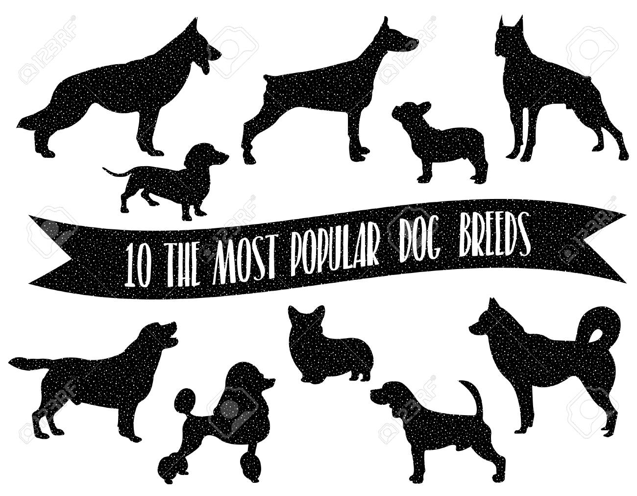 犬の品種を設定します 犬のアイコン 犬の品種のシルエット カートンで最も人気のある犬の品種 宇宙効果 のイラスト素材 ベクタ Image