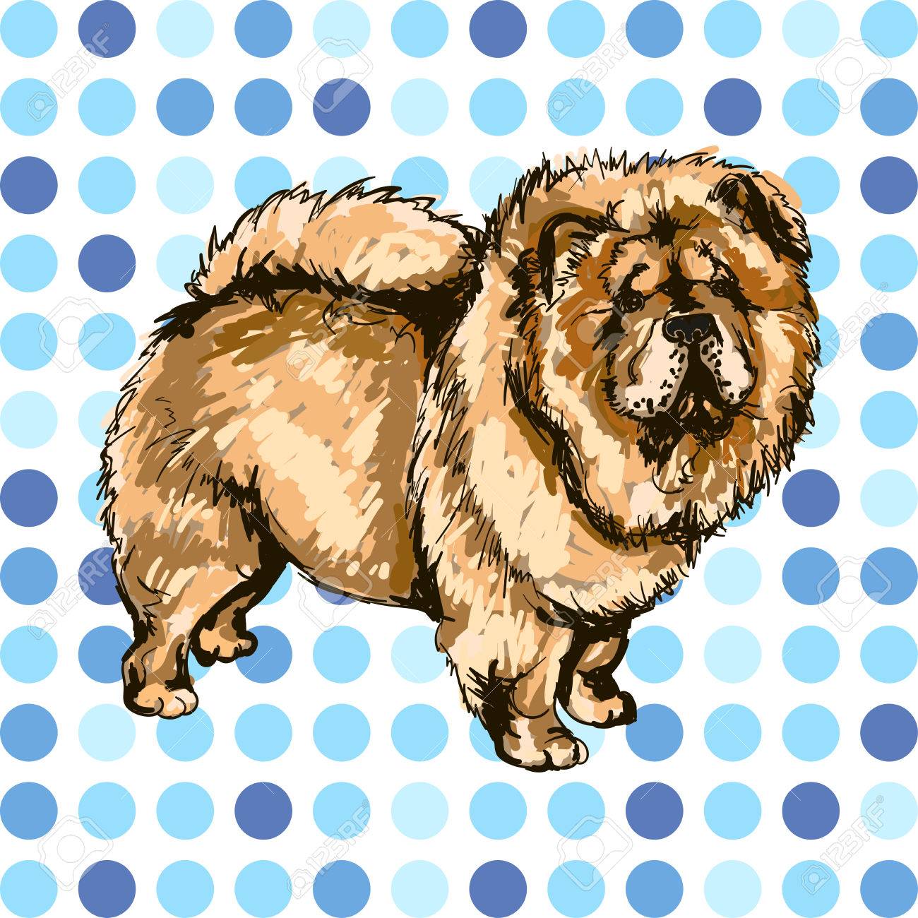 チャウチャウ犬のイラスト のイラスト素材・ベクタ - . Image 52987025.