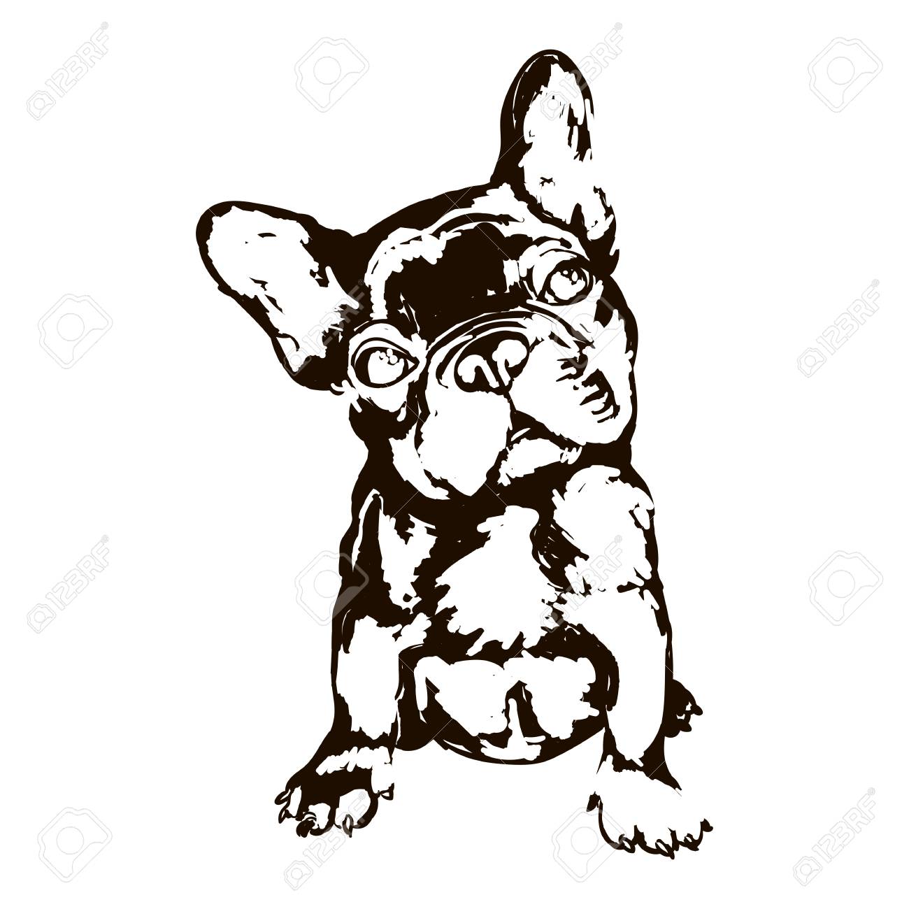 Illustration Of Dog Breed French Bulldog Royalty Free Svg Cliparts Vectors And Stock Illustration Image
