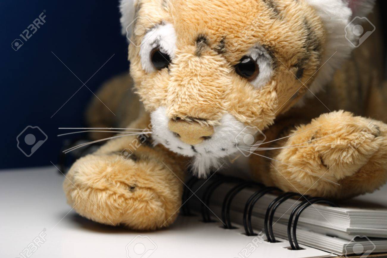 etiam-dictum-ipsum-a-felis