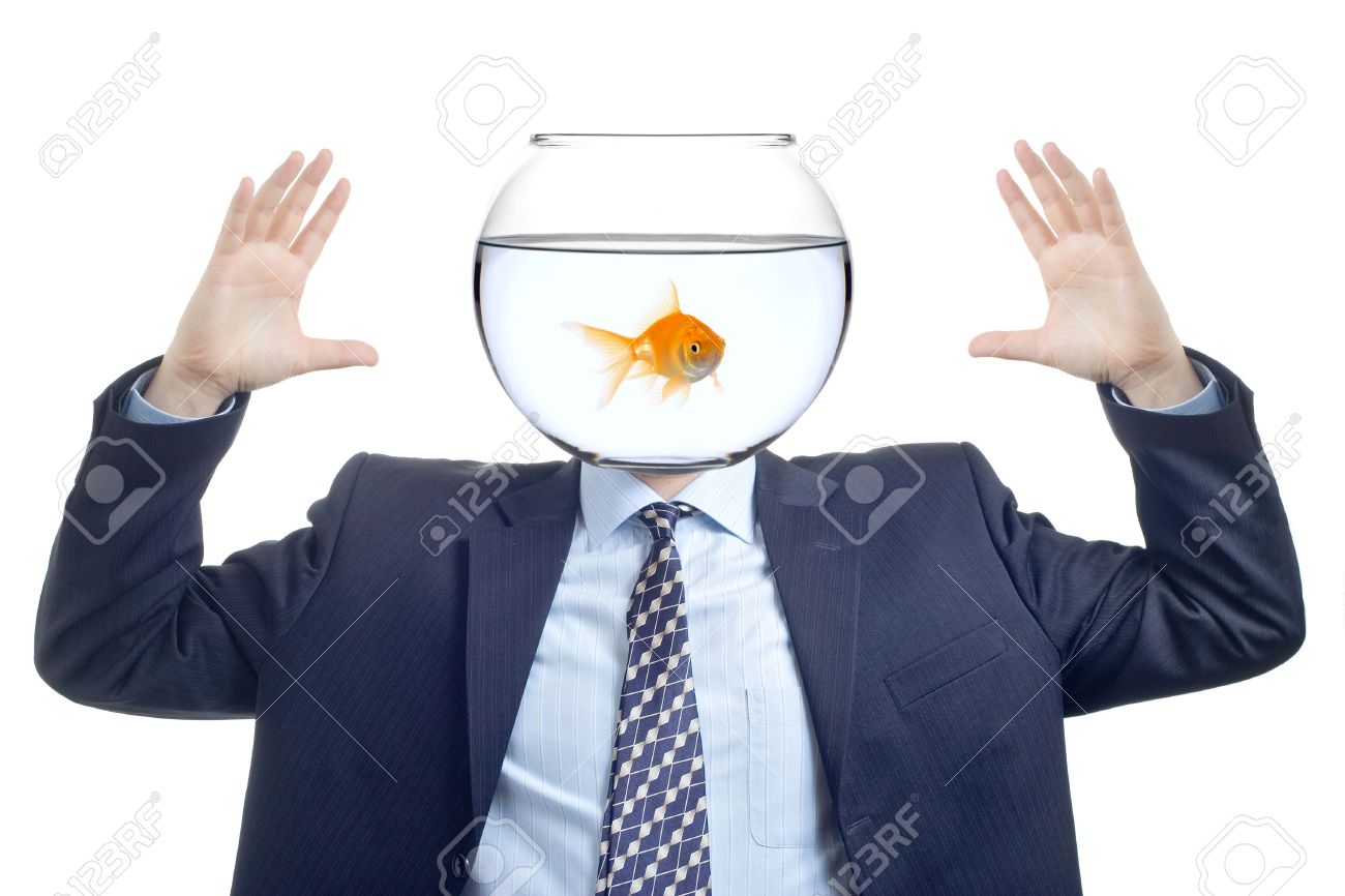 861107-Man-with-a-water-bowl-with-golden-fish-instead-of-a-head-Stock-Photo.jpg