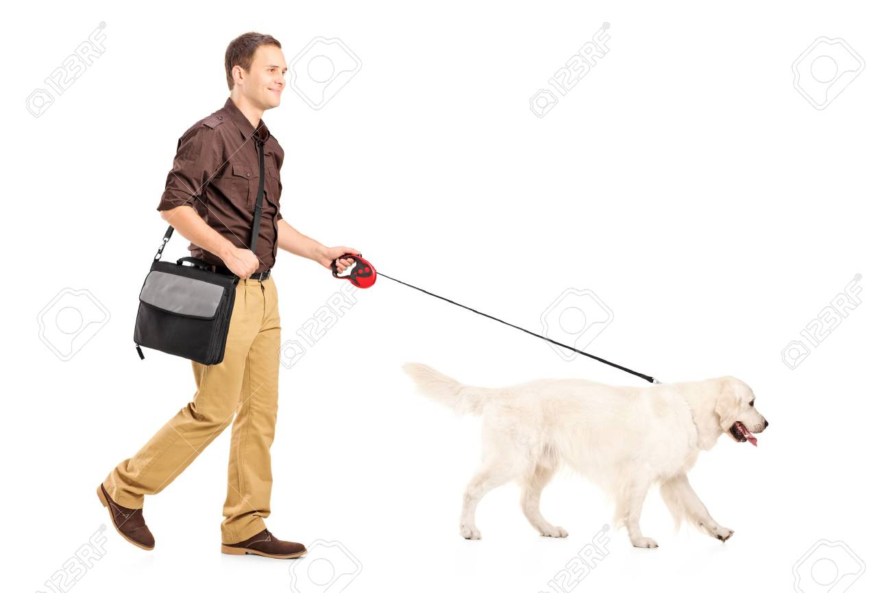 dog walking shoulder bag