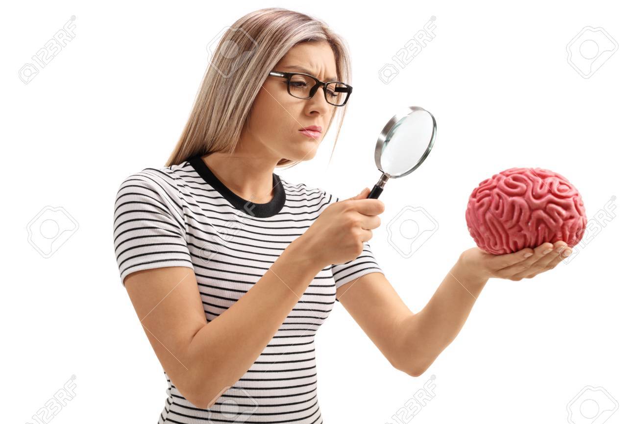 Young woman examining a brain model with a magnifying glass isolated on white background - 81888791 Young woman examining a brain model with a magnifying glass isolated on white background - 81888791