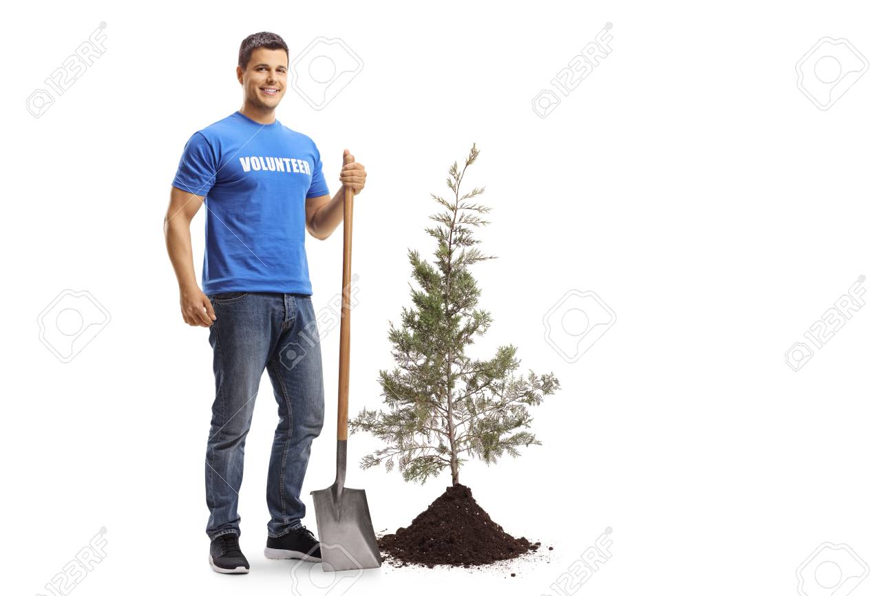 Full length portrait of a young male volunteer with a shovel standing next to a tree and soil isolated on white background - 120409609 Full length portrait of a young male volunteer with a shovel standing next to a tree and soil isolated on white background - 120409609