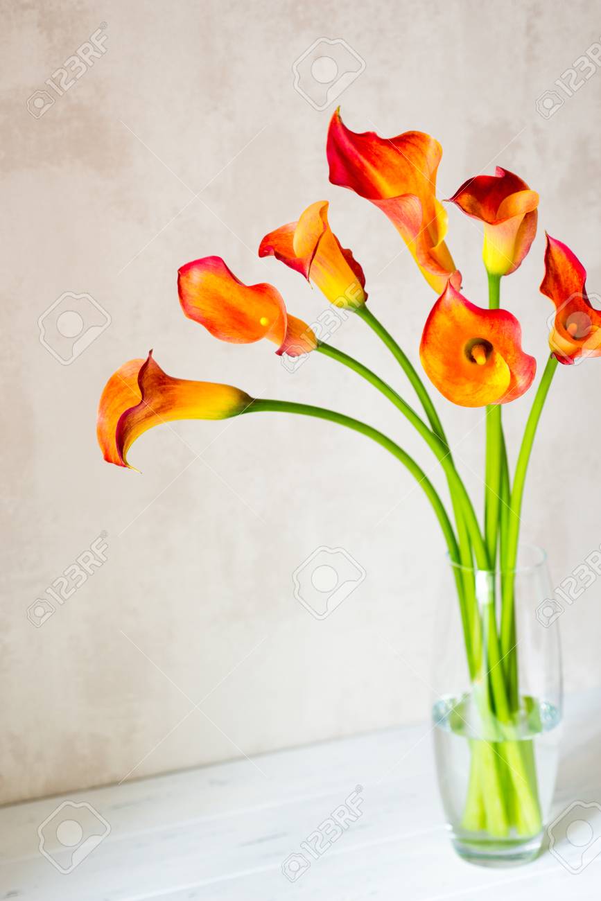Bouquet Of Fresh Orange Calla Lilly Flowers In Glass Vase On