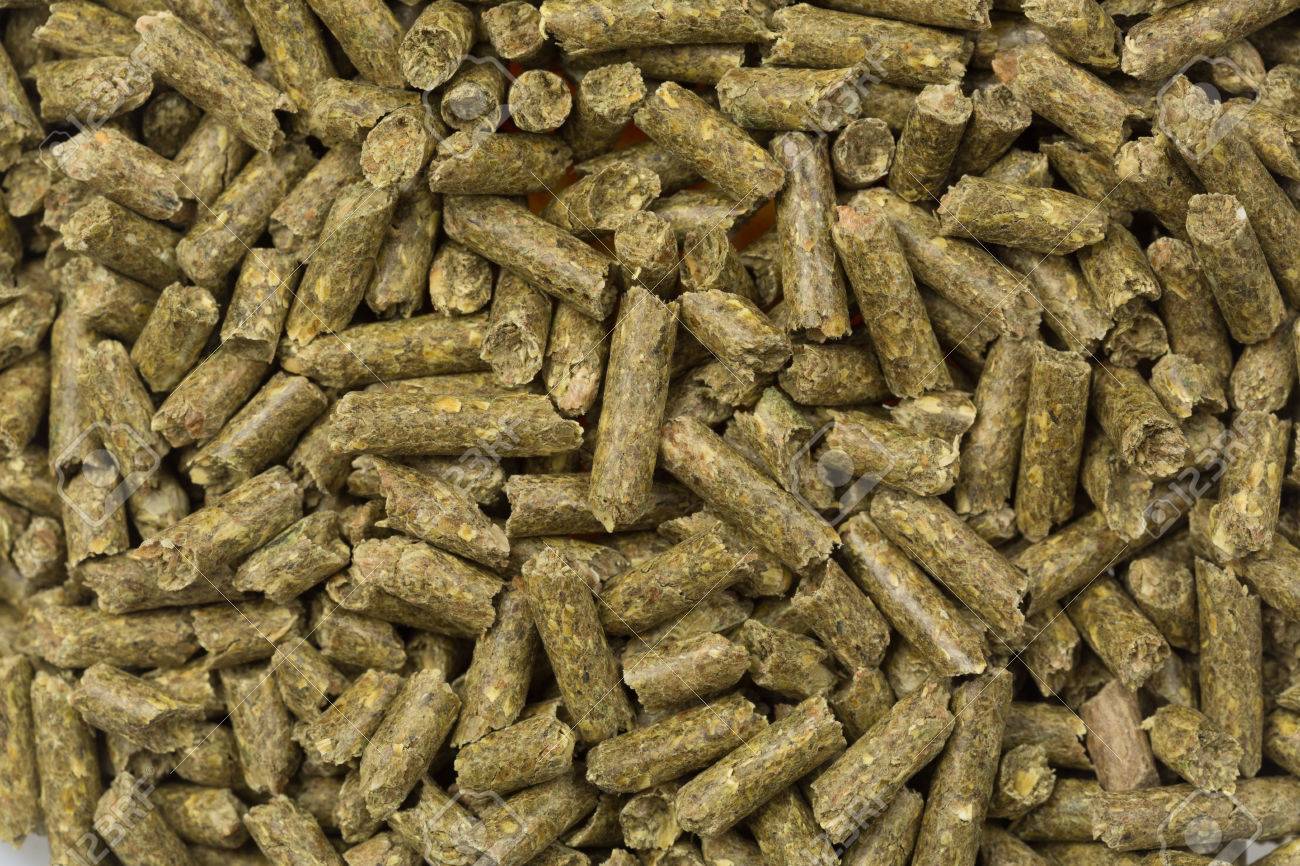 Futterpellets Fur Hamster Kaninchen Guanea Schwein Oder Maus Lizenzfreie Fotos Bilder Und Stock Fotografie Image 51968362