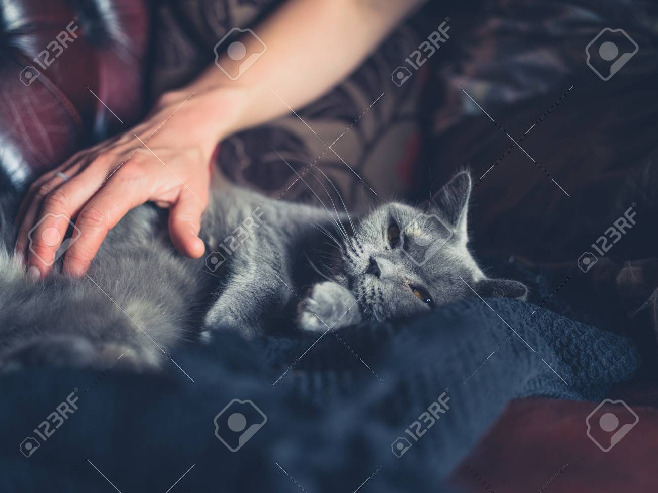 etiam-dictum-ipsum-a-felis