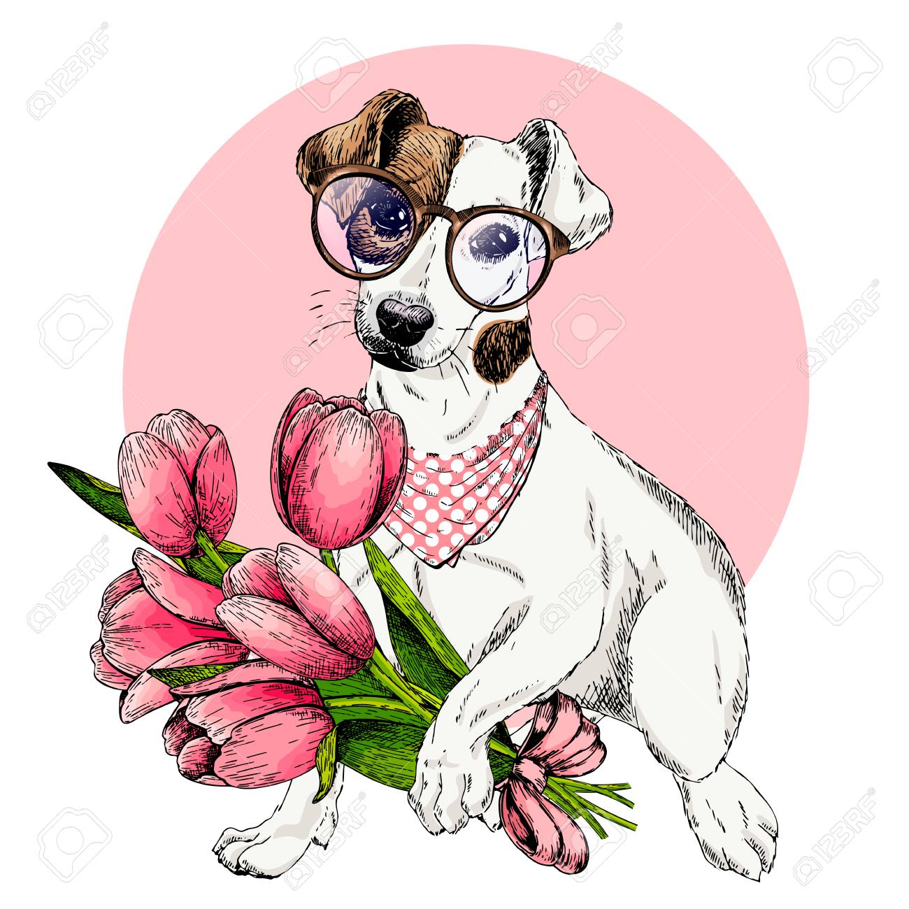 チューリップブーケとジャックラッセルテリア犬の肖像画 ようこそ春 手描きの色付きベクトルイラスト 刻印された詳細な芸術 イースターグリーティングカード ポスター バナー チラシ 広告用 のイラスト素材 ベクタ Image