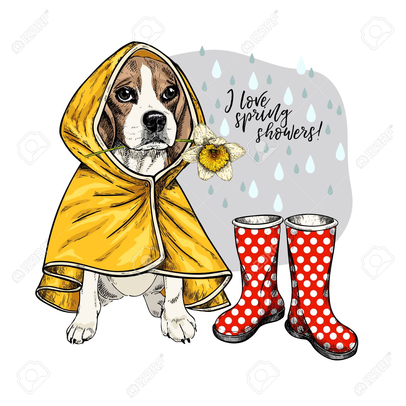beagle rain boots