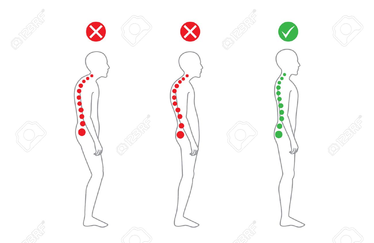 Die Korrekte Ausrichtung Der Menschlichen Korperhaltung Fur Eine Gute Personlichkeit Und Gesund Von Wirbelsaule Und Knochen Im Stehen Gesundheitsversorgung Und Medizinische Illustration Lizenzfrei Nutzbare Vektorgrafiken Clip Arts Illustrationen