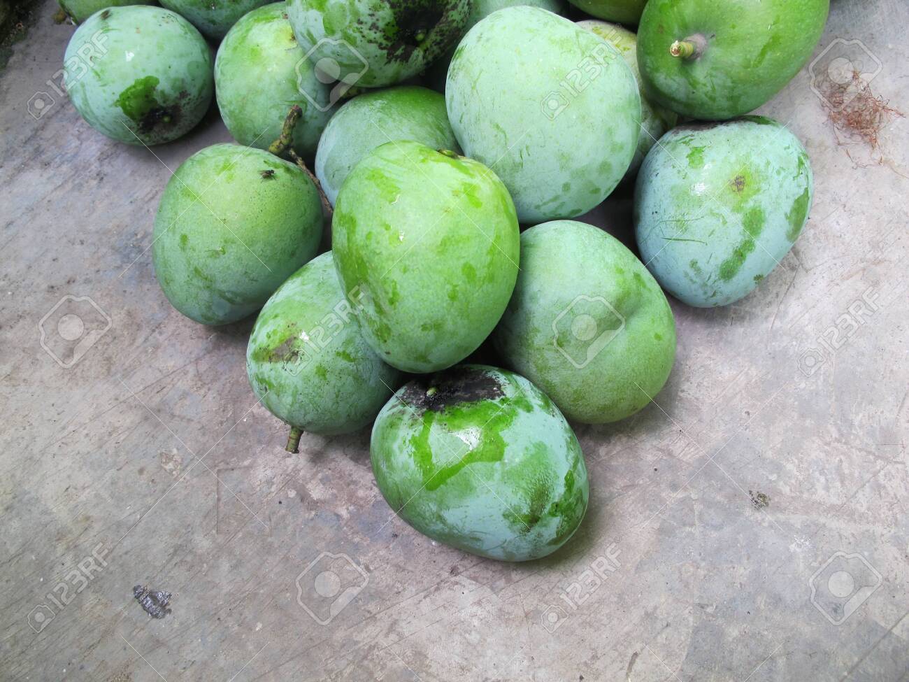 101+ Gambar Mangga Apel Terlihat Keren 101+ Gambar Mangga Apel Terlihat Keren