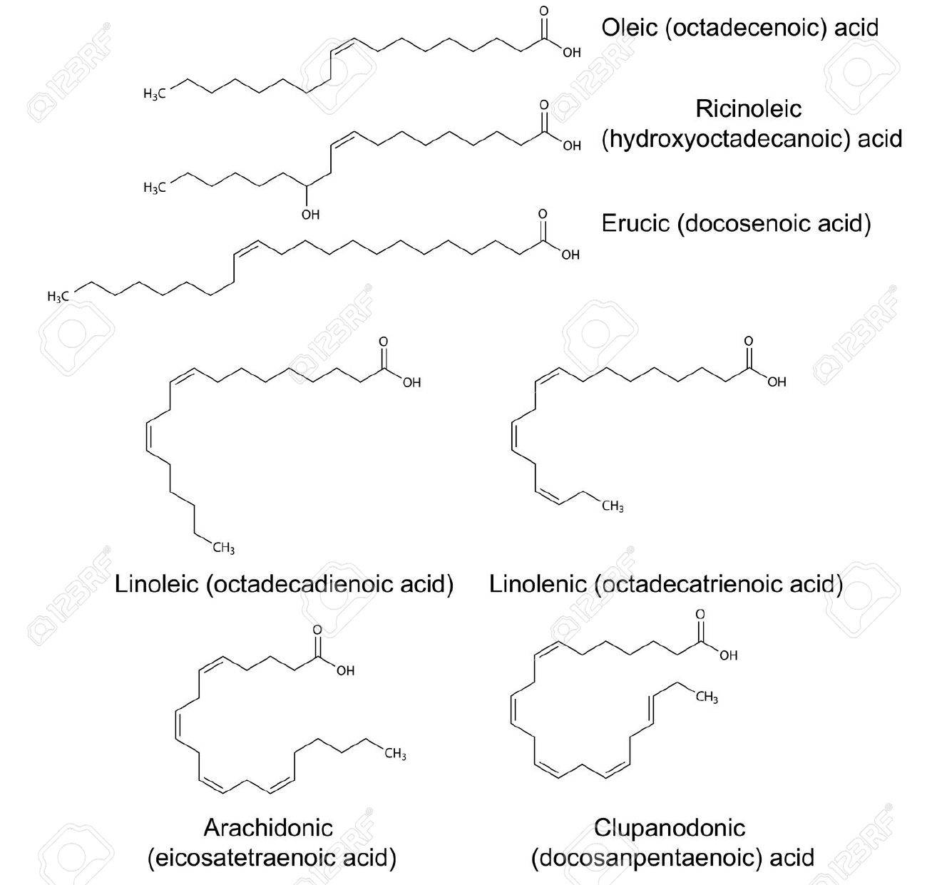 structural chemical formulas of