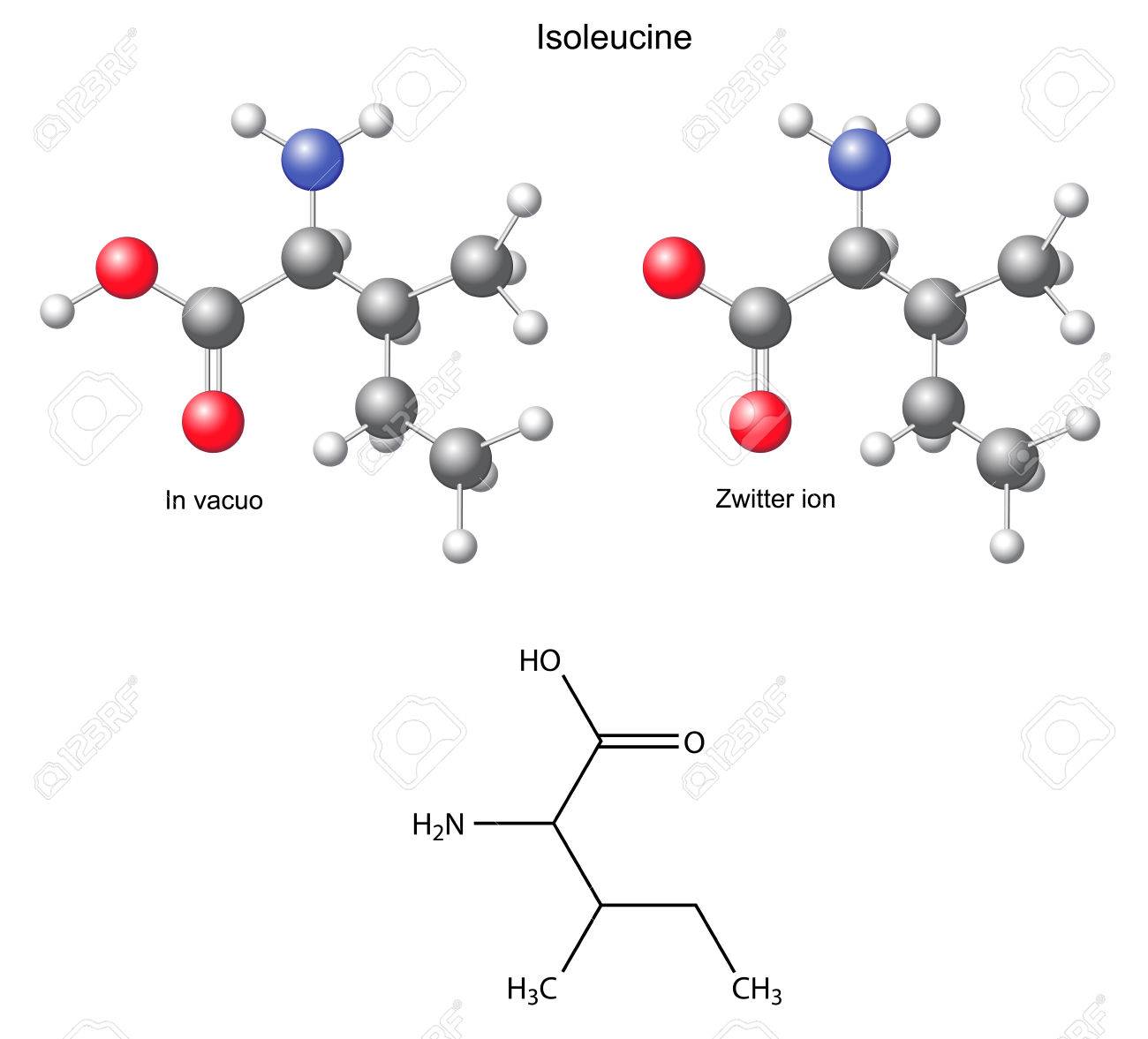 イソロイシン イル 化学構造式とモデルのイラスト素材 ベクタ Image