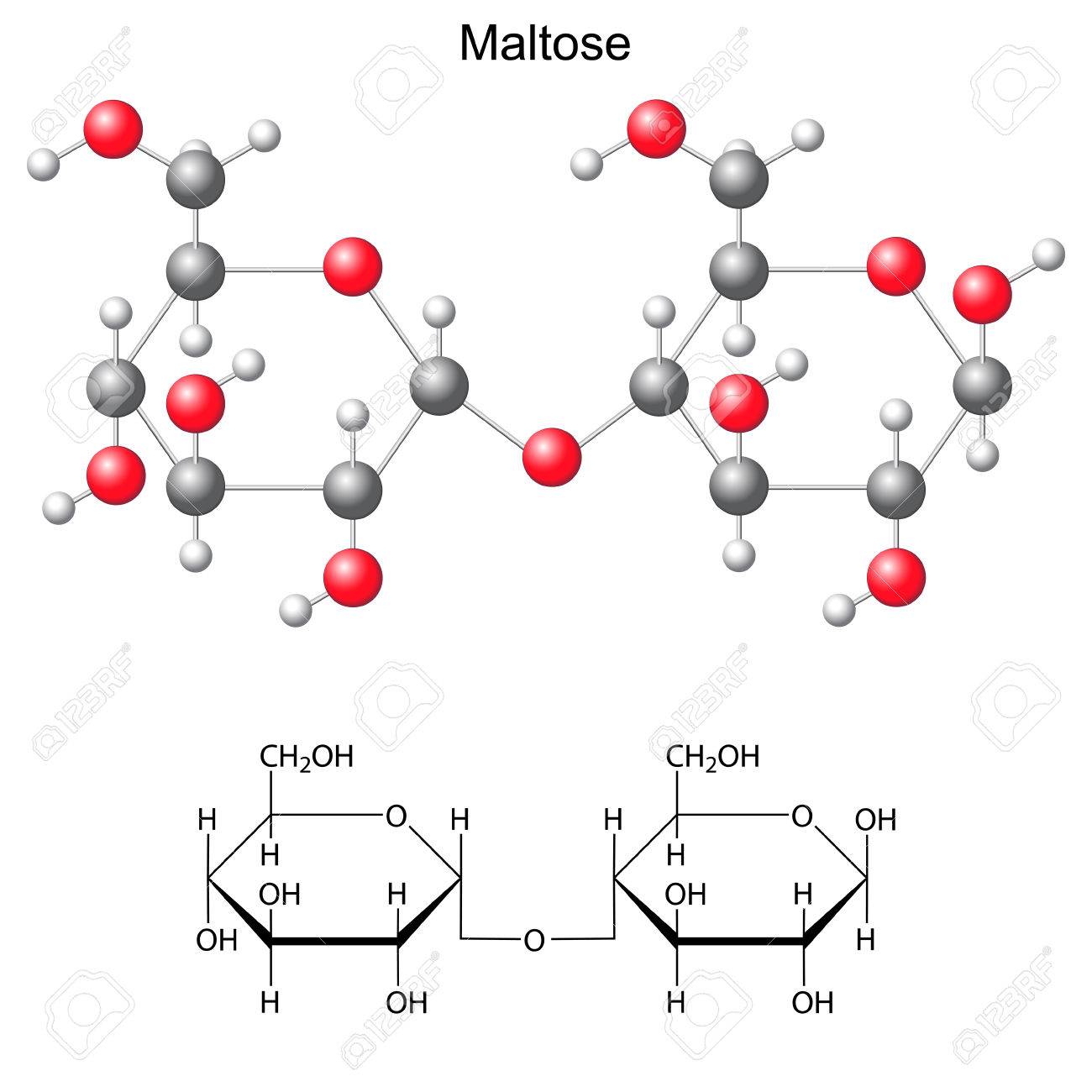 diabetes maltosa diabetes maltosa