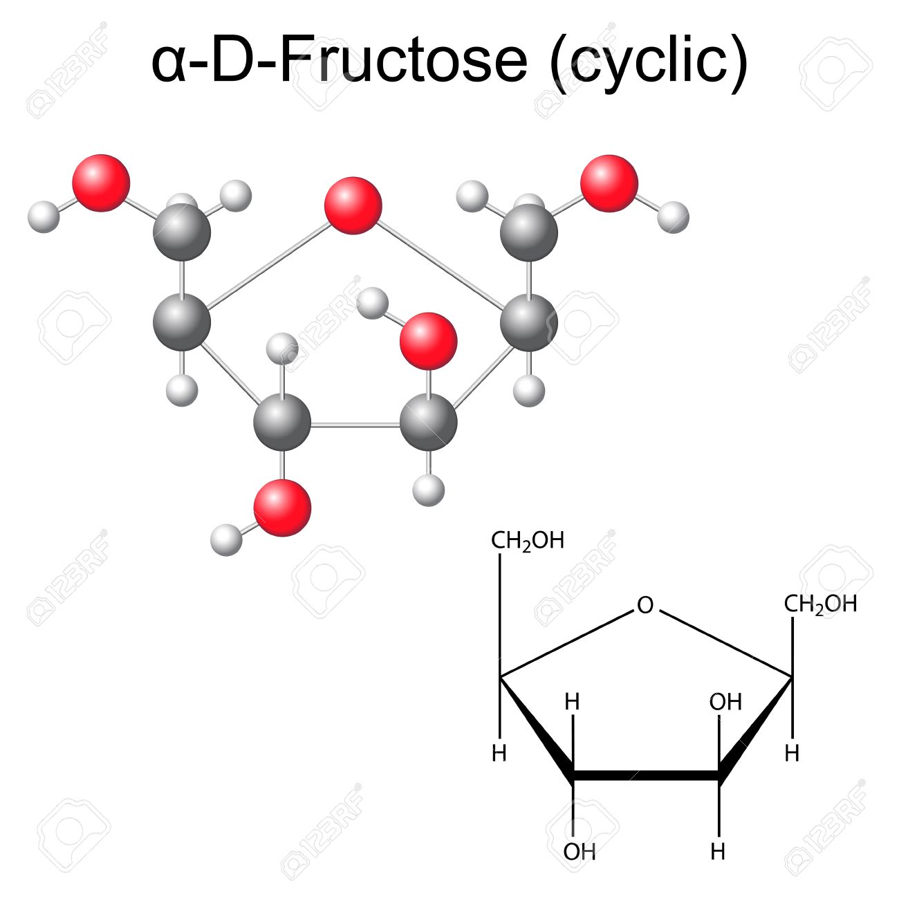 Structural Chemical Formula And Model Of Fructose (alpha-D-fructose), 2D  And 3D Illustration, Vector, Isolated On White Background, Eps 8 Royalty  Free SVG, Cliparts, Vectors, and Stock Illustration. Image 41929006.