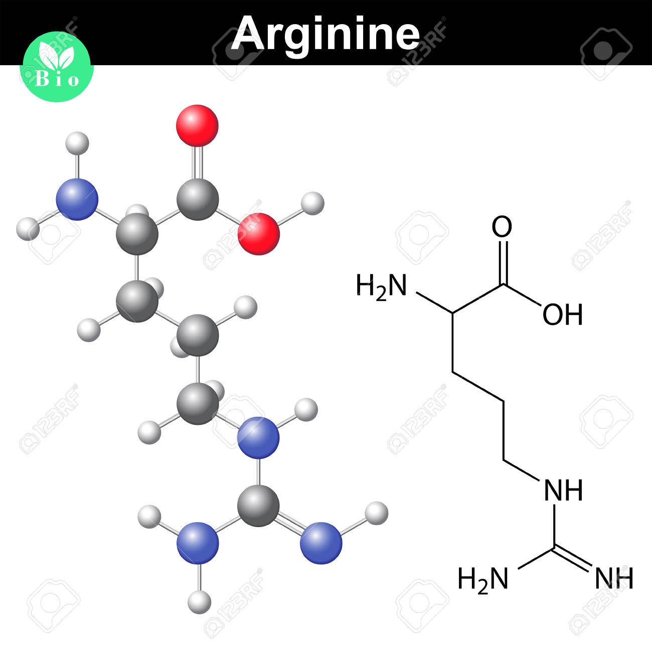 arginina aminoacido esencial