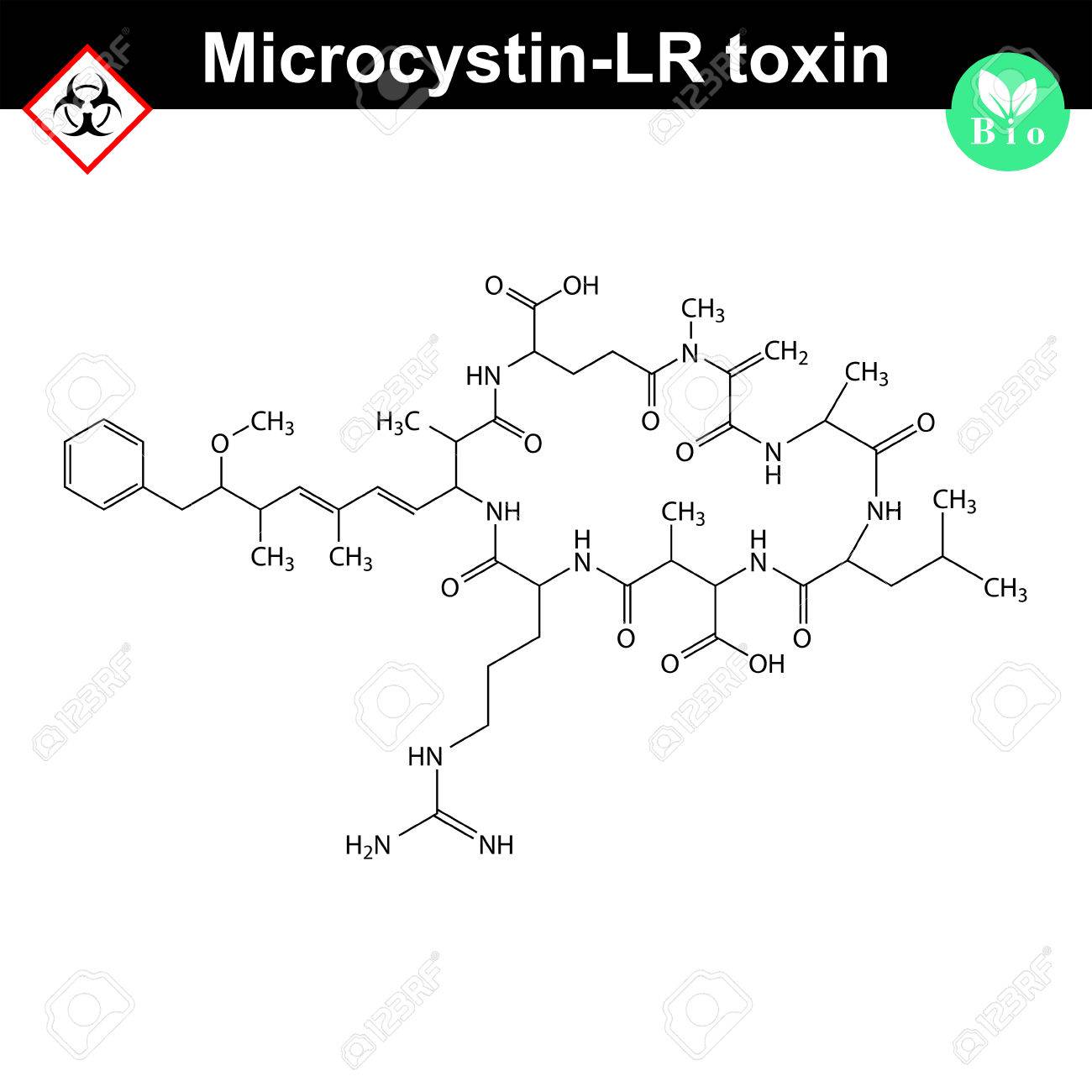 microcystin