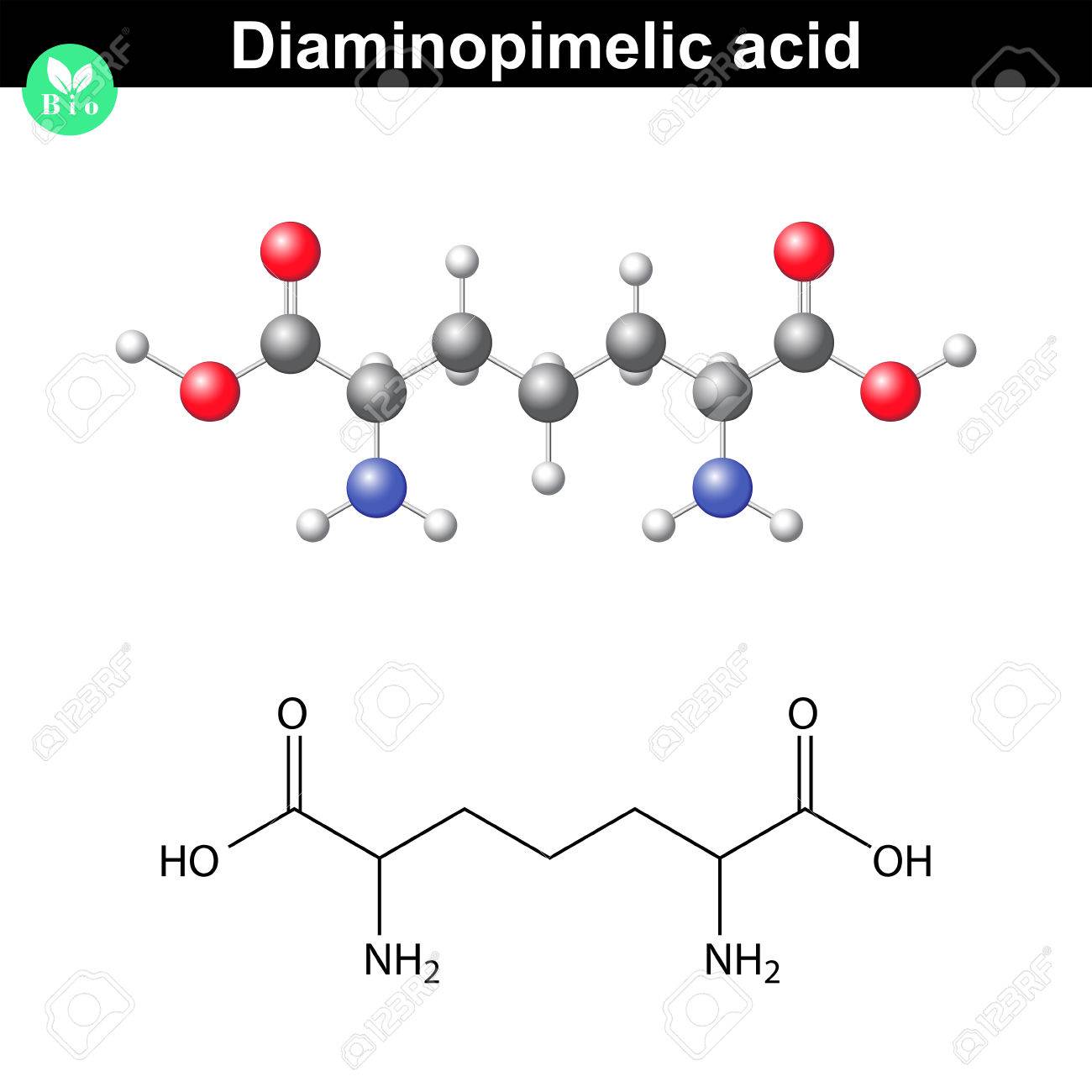 diaminopimelic acid moelcular structure derivative of lysine lysine structure