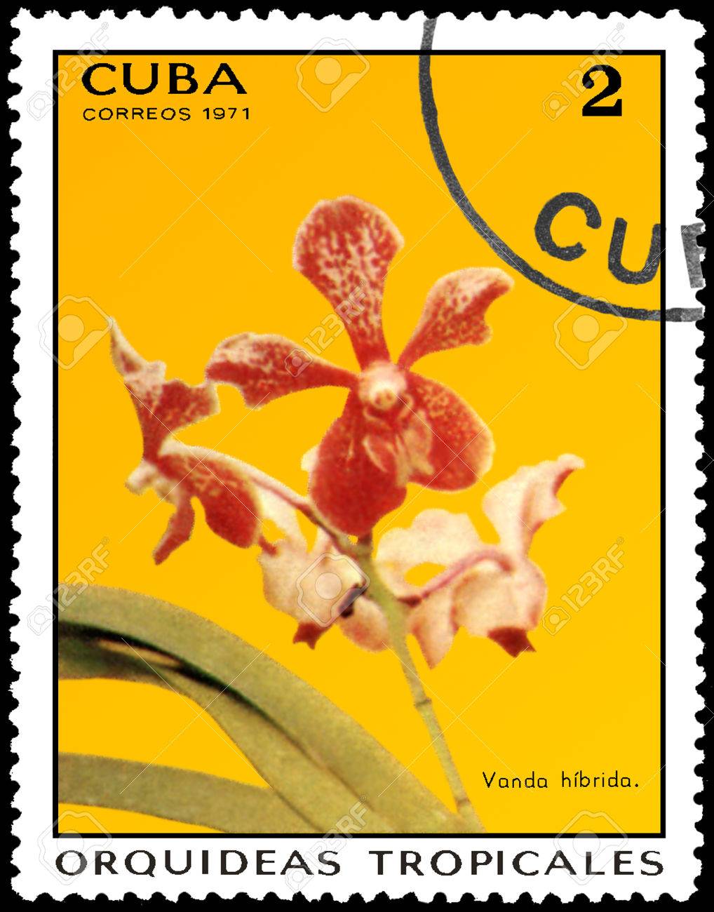 キューバ - 1971 年頃: 切手キューバ ショー蘭で印刷シリーズ