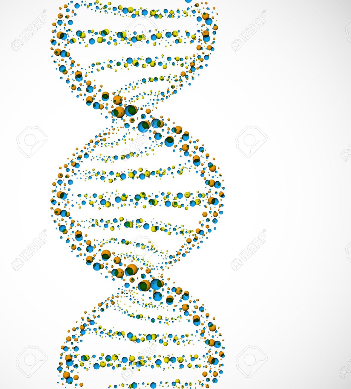 dna molecule of spheres royalty free cliparts vectors and stock