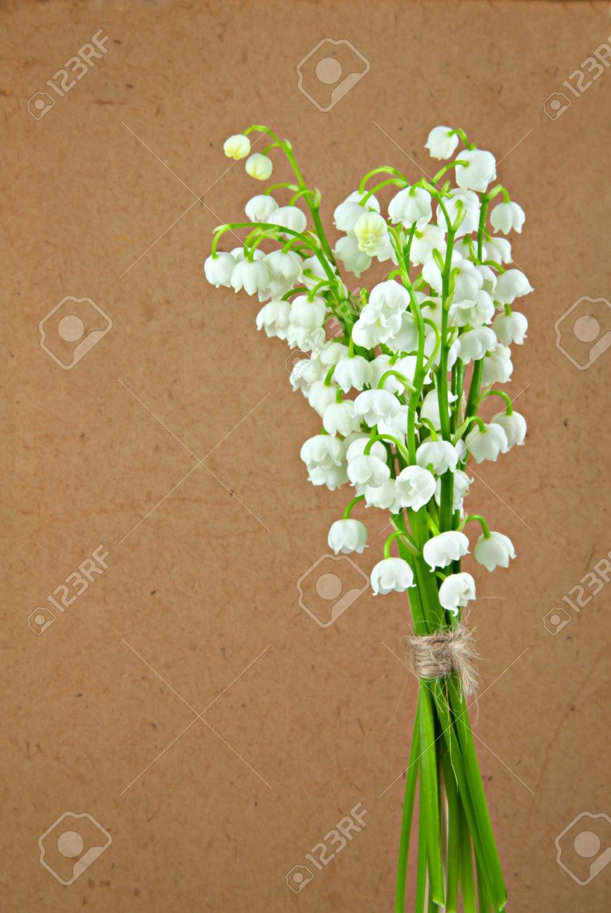 Fleurs De Pré Fleurs Blanches Dans Un Petit Vase De Verre Sur Le Sol En Bois De Grunge Bellis Perennis Bouquet De Petites Fleurs De Marguerites