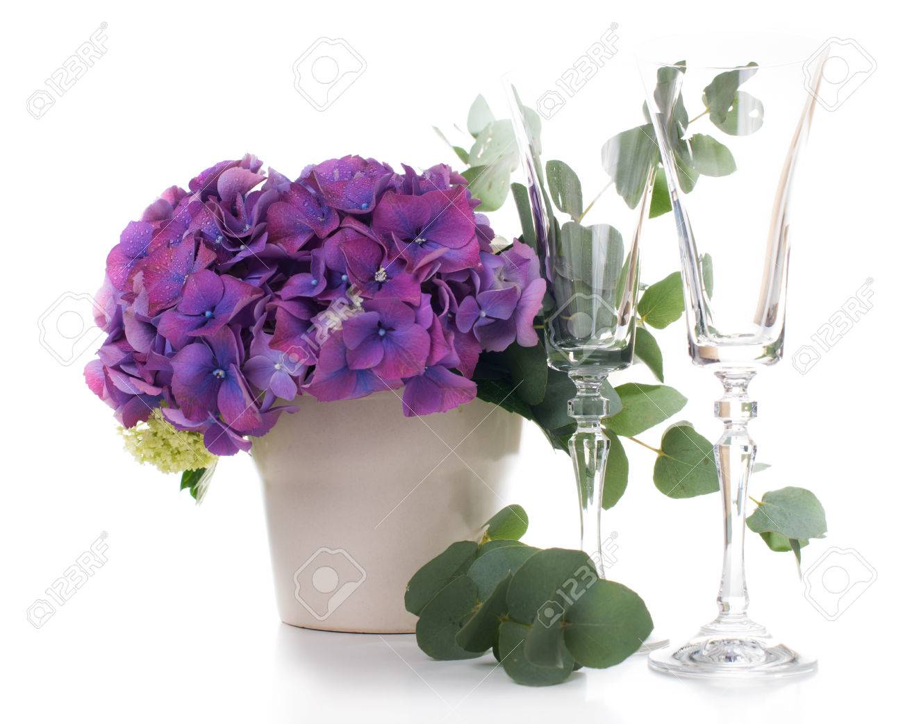 Big Bouquet De Fleurs Fraîches Hortensias Pourpres Et Roses Blanches Et Verres De Champagne Sur Un Fond Blanc Isolé