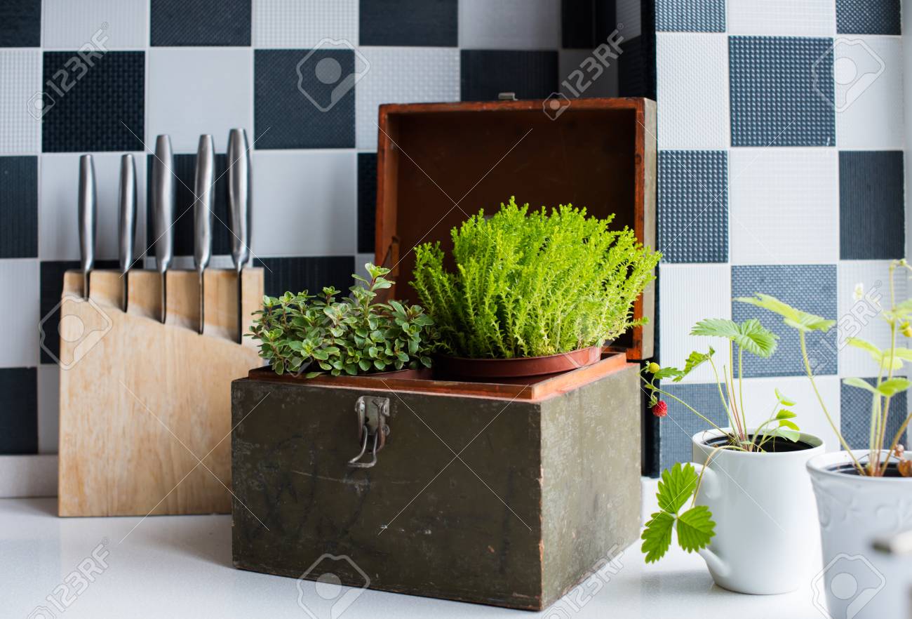 キッチン用品 インテリア モダンなキッチン インテリア クローズ アップで台所用品 窓辺の家の植物 の写真素材 画像素材 Image