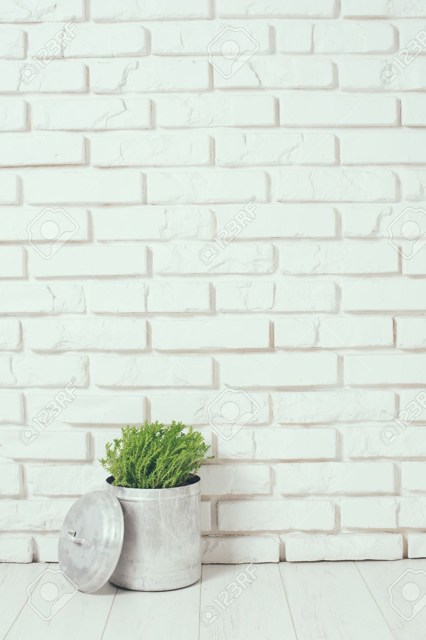 Green Home Plant Near The White Brick Wall On Floor Rustic Interior Decor Green Home Plant Near The White Brick Wall On Floor Rustic Interior Decor