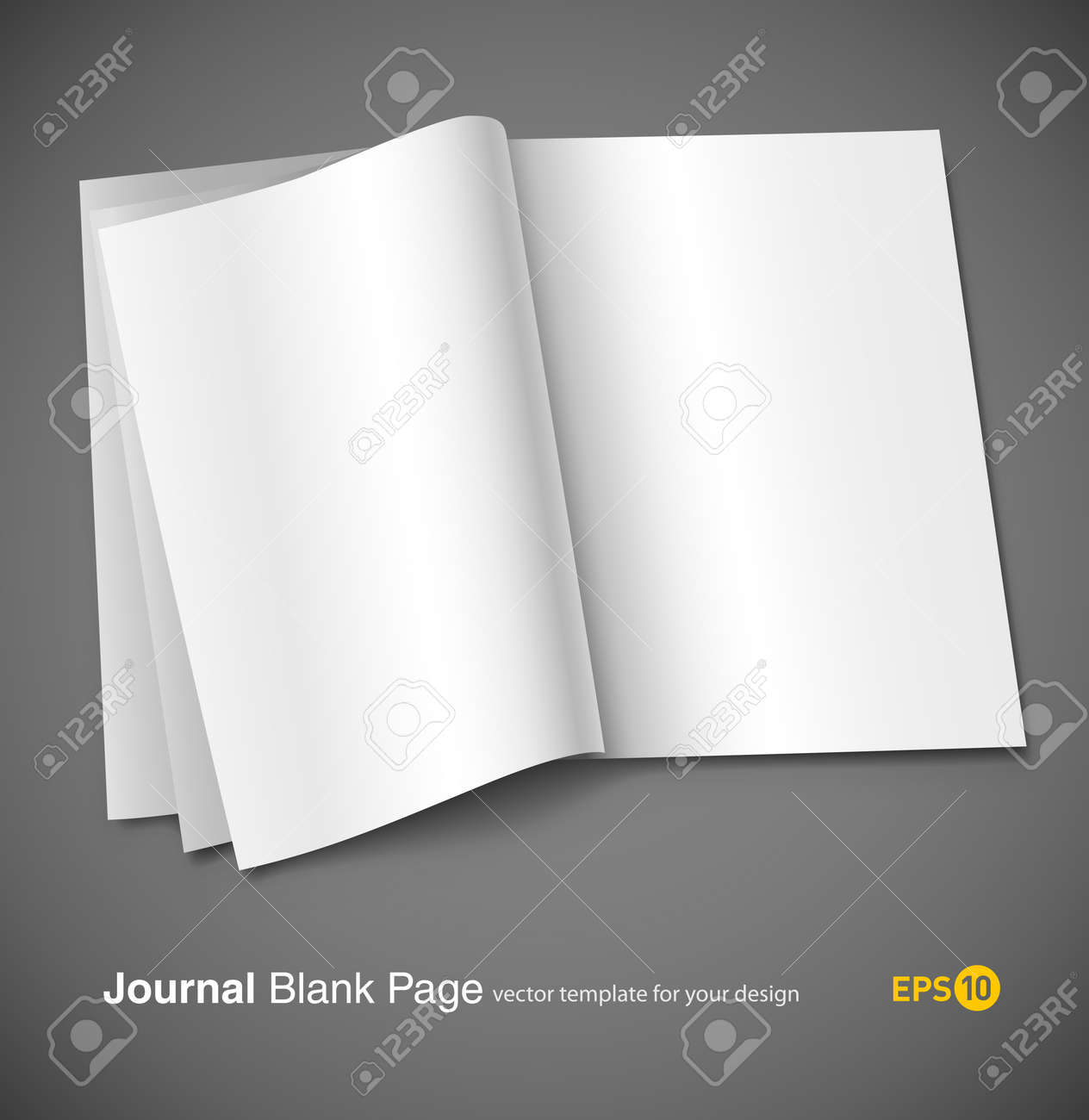 magazine blank page template for design layout vector illustration
