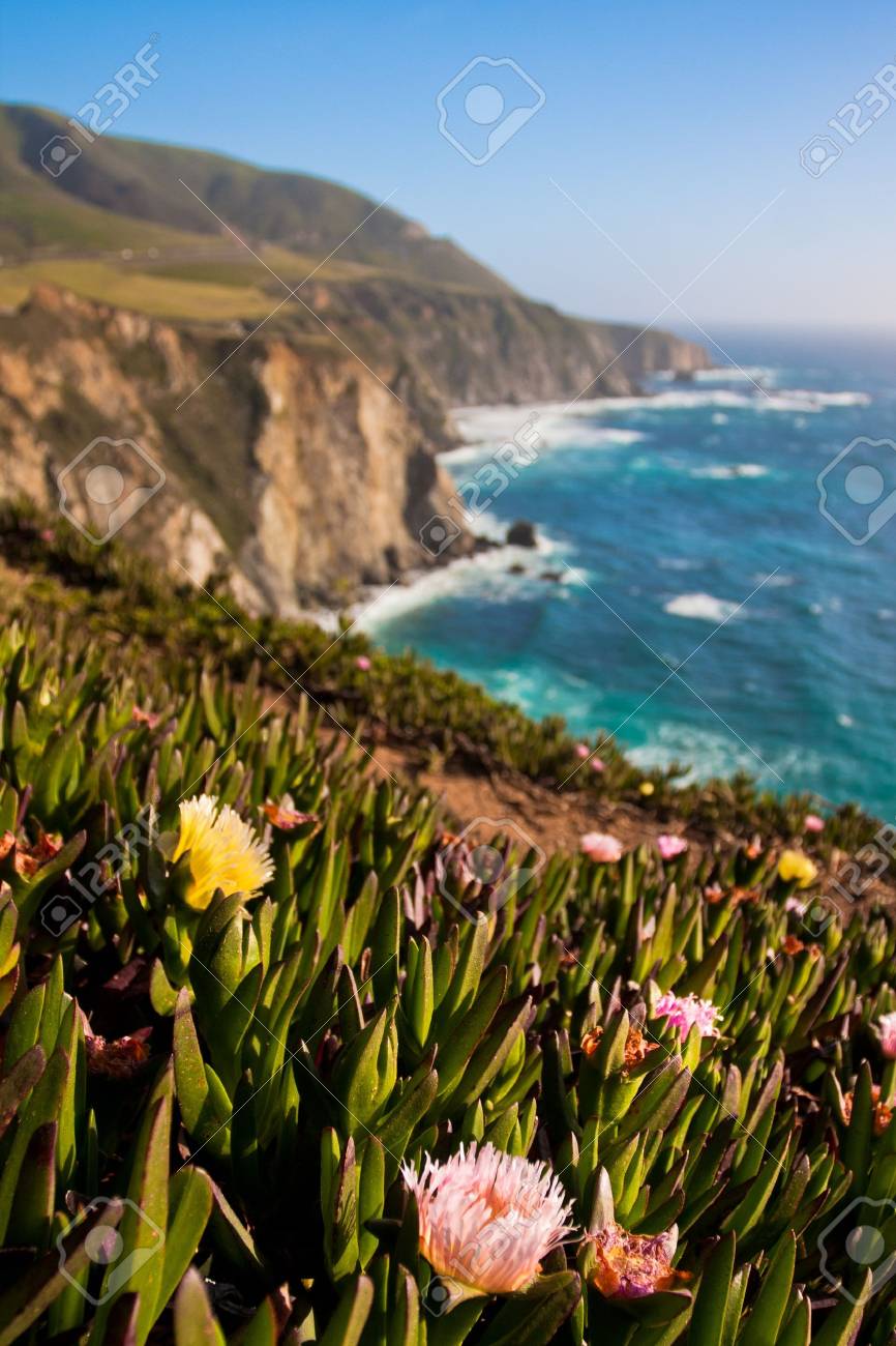 Beautiful Coastline in Big Sur,California - 19194828 Beautiful Coastline in Big Sur,California - 19194828