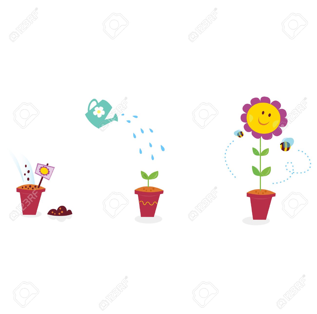 Garden Flower Growth Stages Sunflower The Growing Process Of Sunflower In Three Stages Illustration Royalty Free Cliparts Vectors And Stock Illustration Image