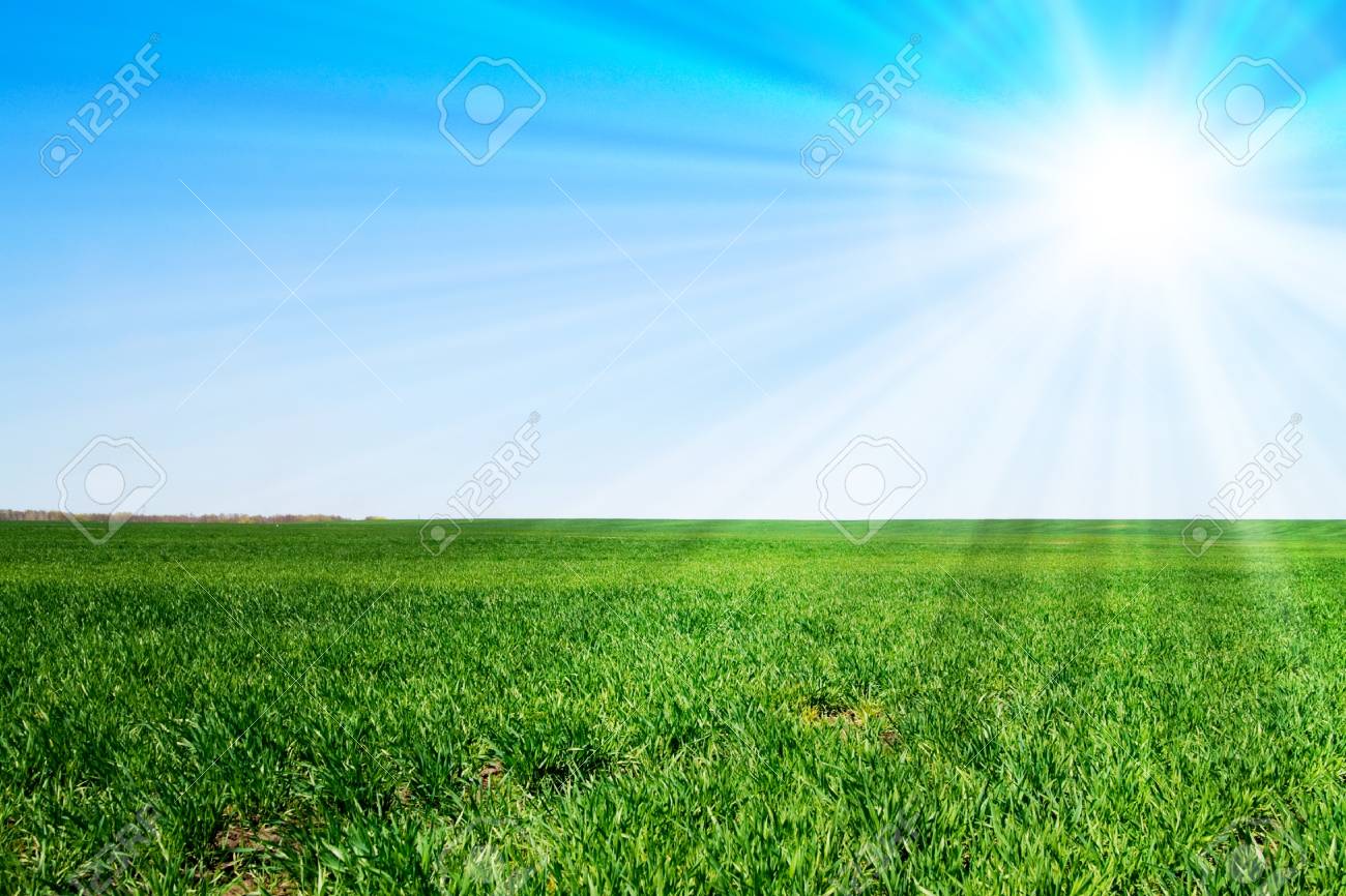 美しい風景 緑の草 青い空 の写真素材 画像素材 Image 美しい風景 緑の草 青い空 の写真素材 画像素材 Image