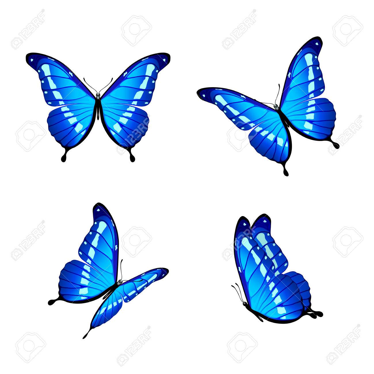 photo Imagenes De Mariposas Azules Sin Fondo conjunto de cuatro mariposas azules aislados sobre fondo blanco ilustracion