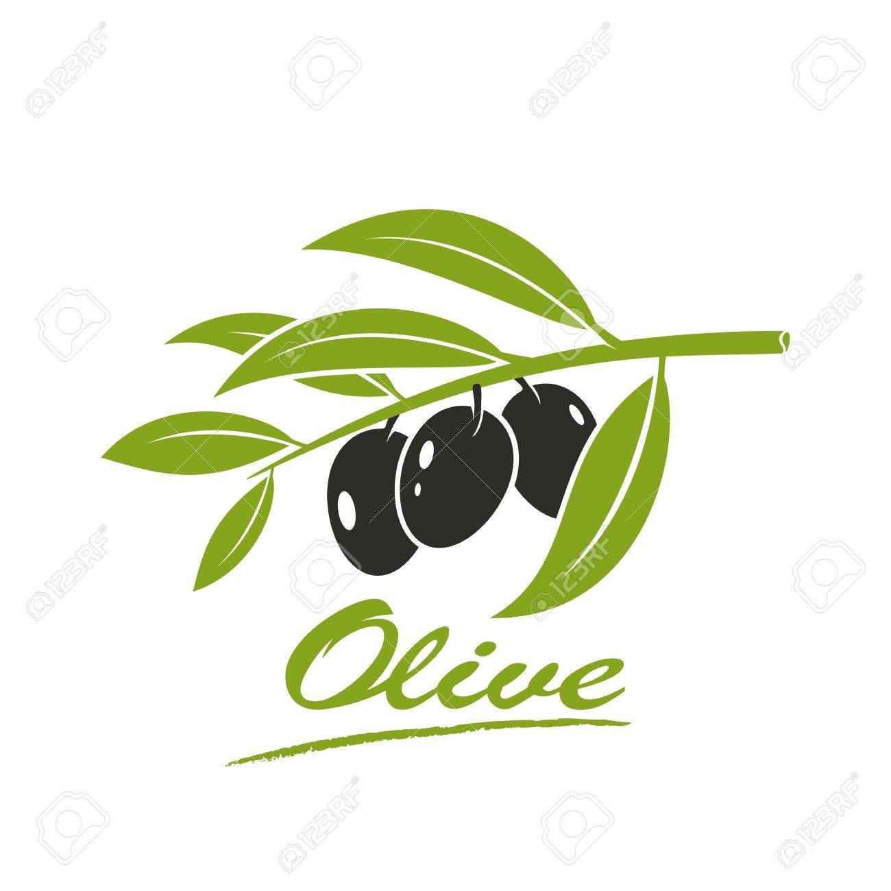 ブラック オリーブは 白い背景 イラストの葉と小枝します のイラスト素材 ベクタ Image