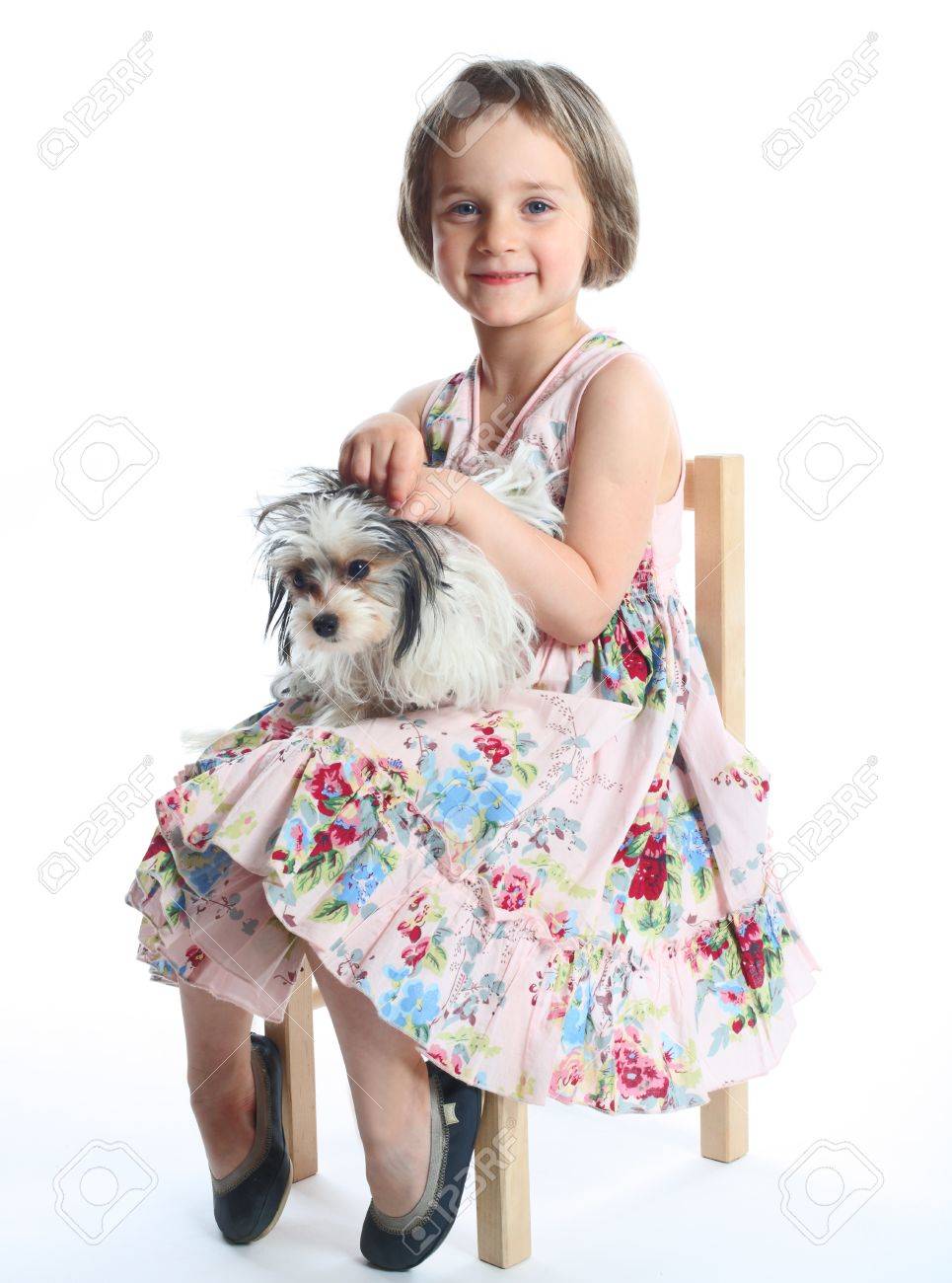 portrait of beautiful girl with dog isolated on white - 13988046 portrait of beautiful girl with dog isolated on white - 13988046