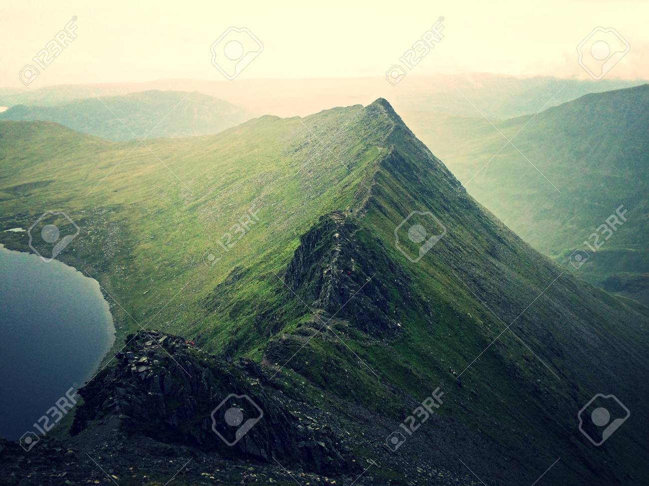 etiam-dictum-ipsum-a-felis