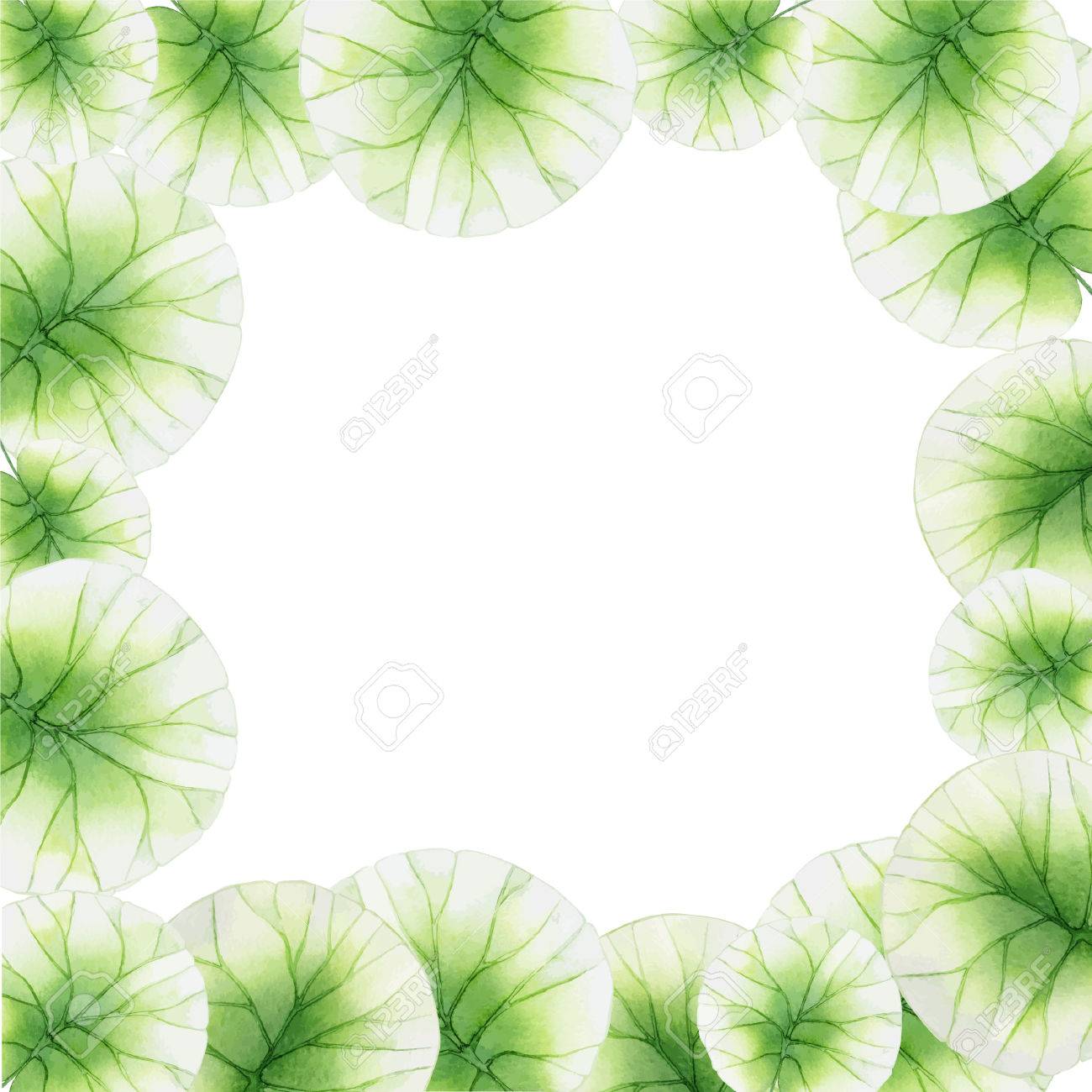 ハスの葉で水彩の花のフレーム のイラスト素材 ベクタ Image