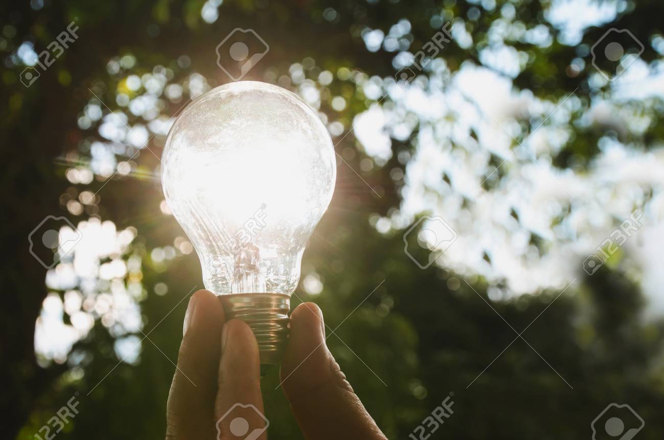 Idee De L Energie Solaire Dans La Nature Main Tenant Le Concept