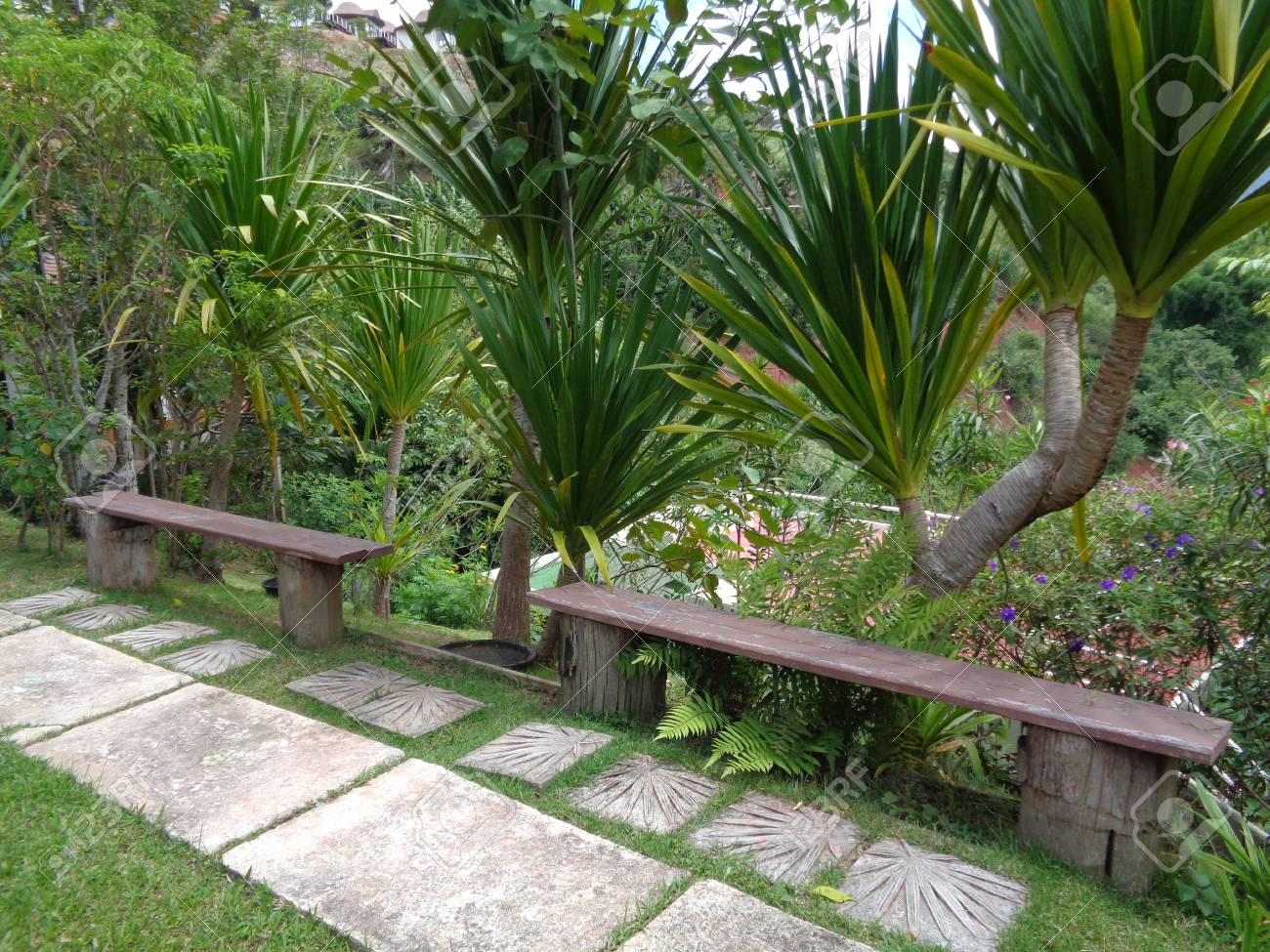 Holzbanke Im Tropischen Garten Lizenzfreie Fotos Bilder Und Stock Fotografie Image 65139952