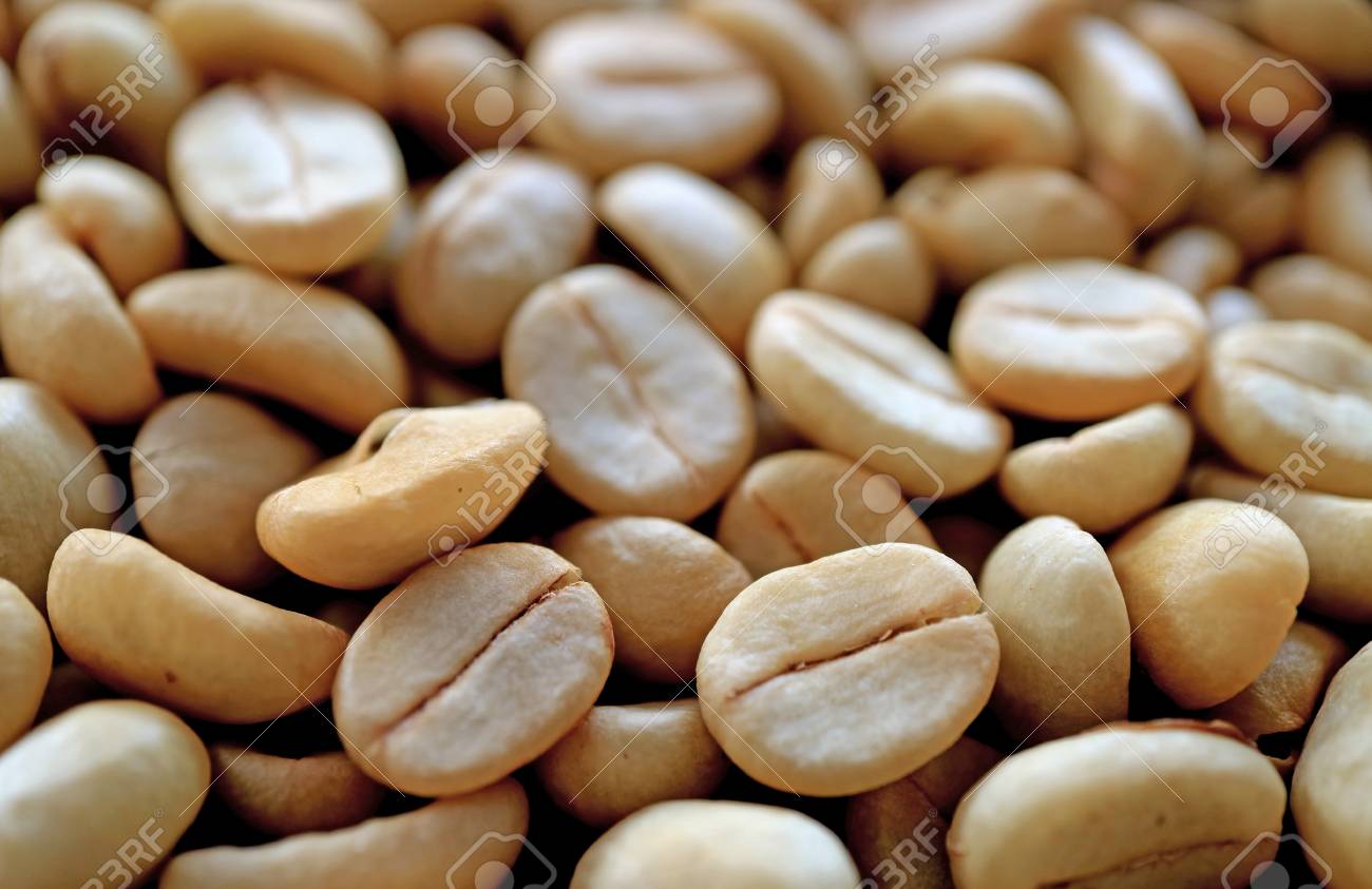 Unroasted Coffee Beans >> Heap Of Unroasted Coffee Beans With Selective Focus And Blurred Unroasted Coffee Beans >> Heap Of Unroasted Coffee Beans With Selective Focus And Blurred