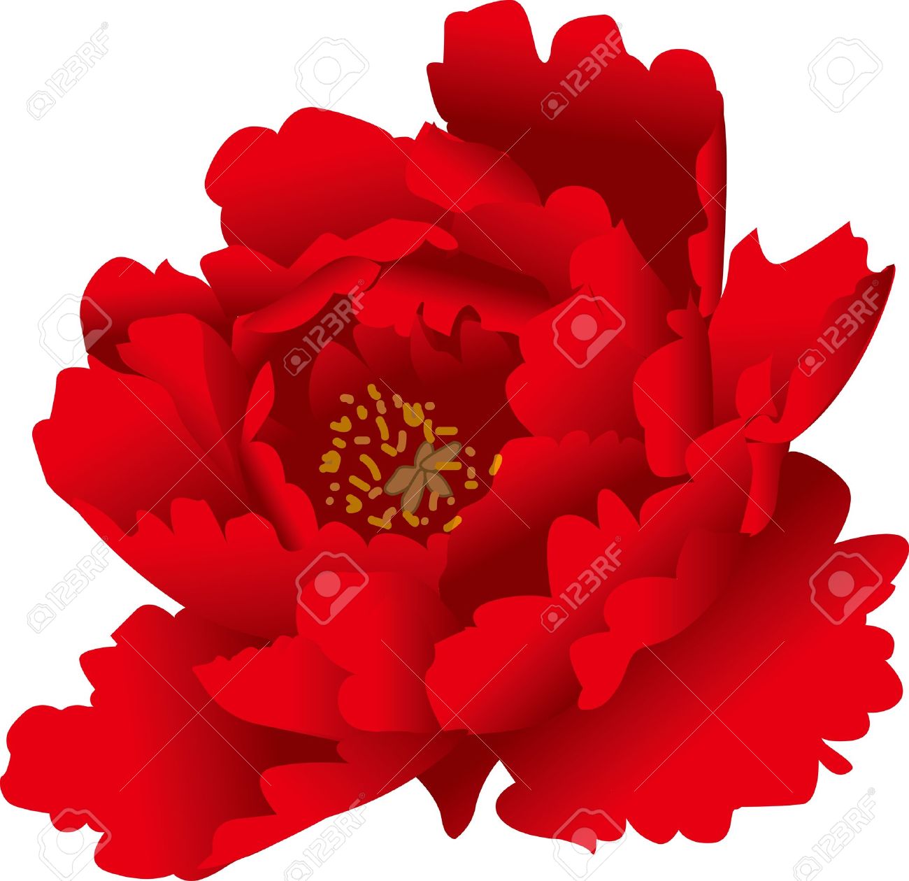赤い牡丹のロマンチックなベクトル イラストのイラスト素材 ベクタ Image