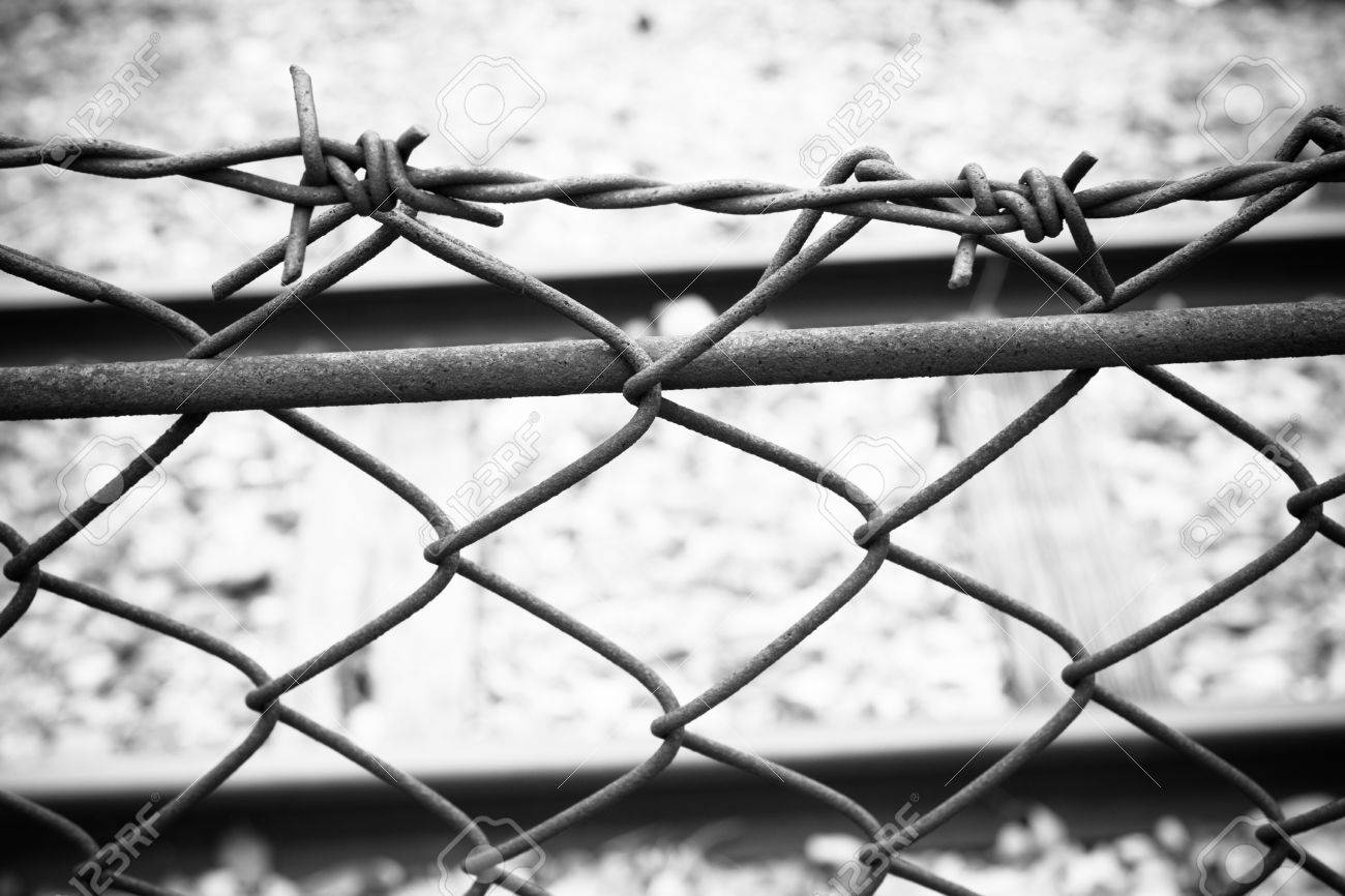 Barbed Wire Fence Prison Barbed Wire Fence Prison