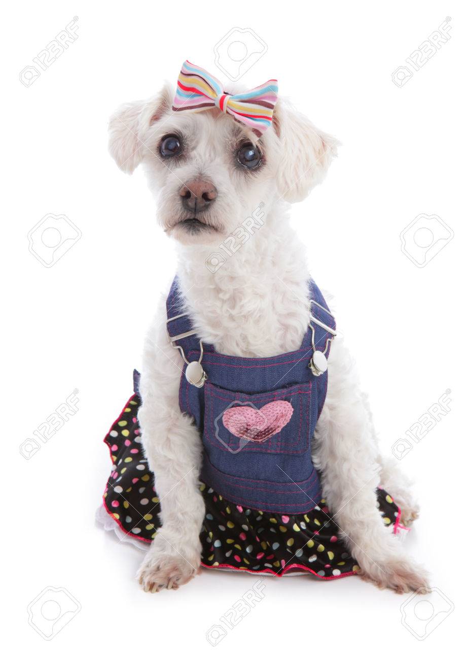 denim bib and brace dress